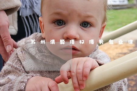 苏州清算债权债务专业律师