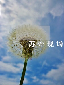 苏州现场交通违法处理点 苏州现场交通违法处理点