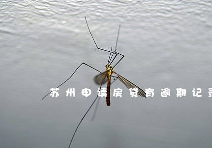 苏州申请房贷有逾期记录怎么办 苏州申请房贷有逾期记录怎么办