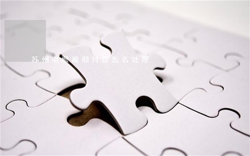 苏州电票逾期付款怎么处理 苏州电票逾期付款怎么处理