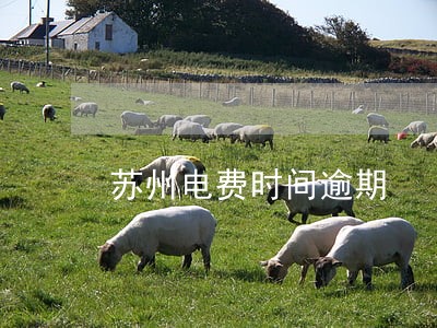 苏州电费时间逾期 苏州电费时间逾期