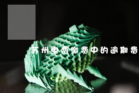 苏州电费缴费中的逾期费用 苏州电费缴费中的逾期费用