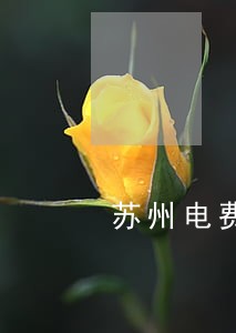 苏州电费逾期会影响信用吗