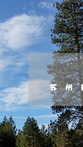 苏州知名合同律师 苏州知名合同律师