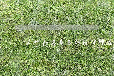 苏州知名商务纠纷律师在线询问 苏州知名商务纠纷律师在线询问
