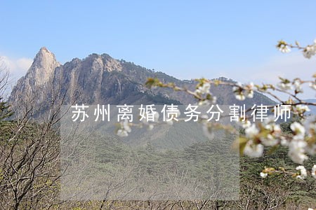 苏州离婚债务分割律师 苏州离婚债务分割律师