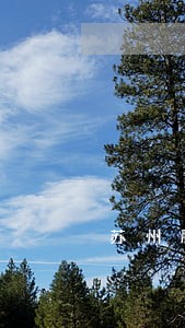 苏州股份转让债权债务专业律师 苏州股份转让债权债务专业律师
