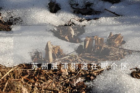 苏州胜浦街道在哪个区 苏州胜浦街道在哪个区
