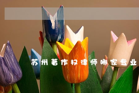 苏州著作权律师哪家专业 苏州著作权律师哪家专业