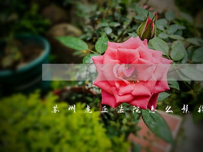 苏州虎丘法院怎么预约撤诉 苏州虎丘法院怎么预约撤诉