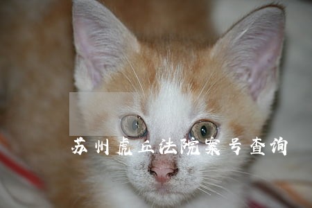 苏州虎丘法院案号查询 苏州虎丘法院案号查询