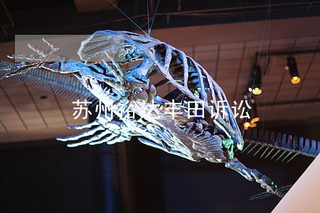 苏州裕达丰田诉讼 苏州裕达丰田诉讼
