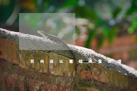 苏州诉讼离婚哪里办理 苏州诉讼离婚哪里办理