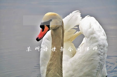 苏州请债务合同律师 苏州请债务合同律师