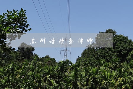 苏州请债务律师 苏州请债务律师