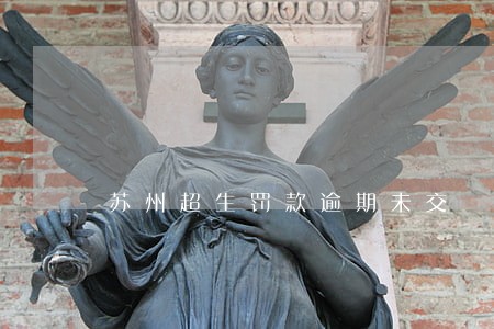 苏州超生罚款逾期未交 苏州超生罚款逾期未交