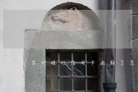 苏州银行信用卡逾期了怎么办 苏州银行信用卡逾期了怎么办