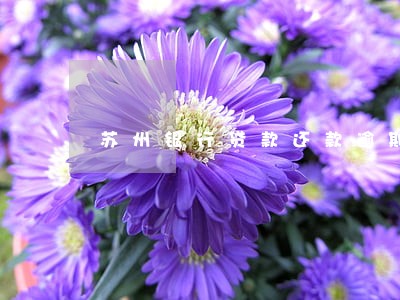 苏州银行贷款还款逾期一天 苏州银行贷款还款逾期一天
