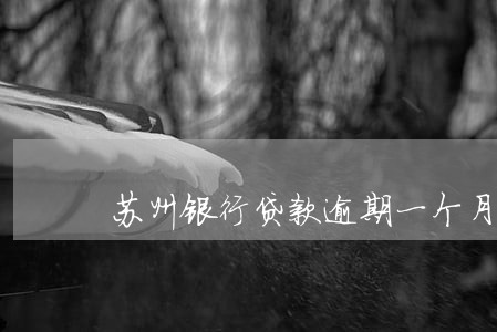 苏州银行贷款逾期一个月 苏州银行贷款逾期一个月