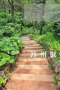 苏州银行贷款逾期了怎么办 苏州银行贷款逾期了怎么办