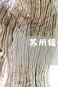 苏州银行车贷逾期三个月 苏州银行车贷逾期三个月
