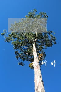 苏州非法拘禁诉讼律师