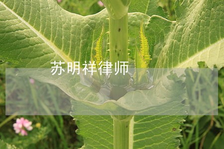 苏明祥律师 苏明祥律师