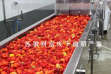 苏银财富线下逾期严重