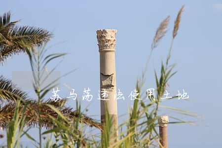 苏马荡违法使用土地 苏马荡违法使用土地