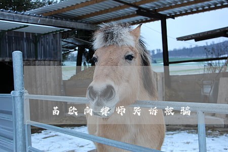 苗欣向律师哭诉被骗 苗欣向律师哭诉被骗
