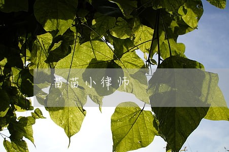 苗苗小律师 苗苗小律师