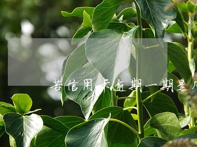若信用卡逾期一期是几天 若信用卡逾期一期是几天