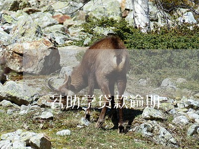 若助学贷款逾期 若助学贷款逾期