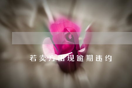 若卖方出现逾期违约 若卖方出现逾期违约