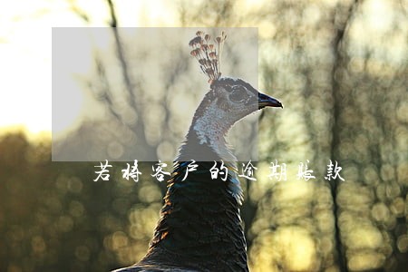 若将客户的逾期账款 若将客户的逾期账款