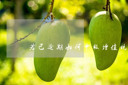 若已逾期如何申报增值税 若已逾期如何申报增值税
