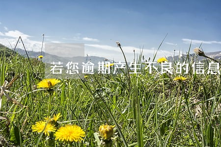 若您逾期产生不良的信息 若您逾期产生不良的信息