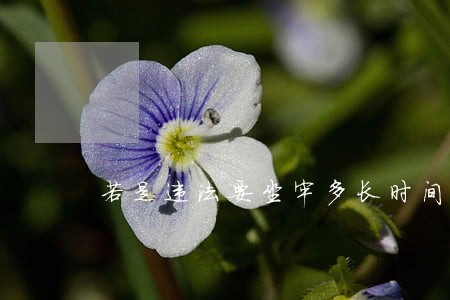 若是违法要坐牢多长时间 若是违法要坐牢多长时间