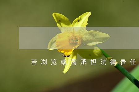 若浏览或需承担法律责任 若浏览或需承担法律责任