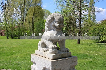 若逾期未还显示什么 若逾期未还显示什么