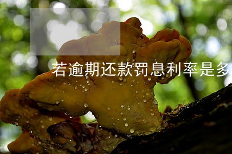 若逾期还款罚息利率是多少 若逾期还款罚息利率是多少