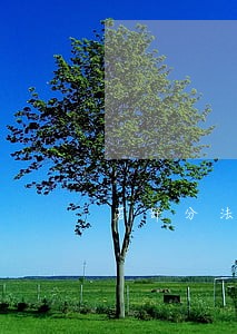 若部分法律不改 若部分法律不改
