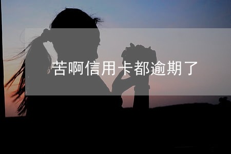 苦啊信用卡都逾期了