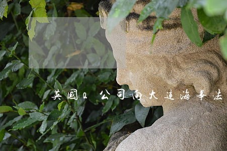 英国a公司向大连海事法院起诉 英国a公司向大连海事法院起诉