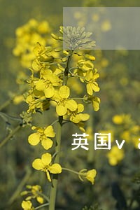 英国vat法规正式颁布