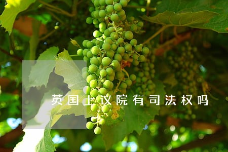 英国上议院有司法权吗 英国上议院有司法权吗