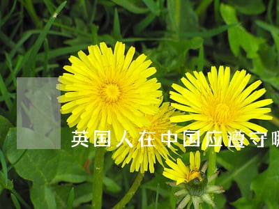 英国人在中国应遵守哪国法律 英国人在中国应遵守哪国法律