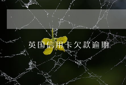 英国信用卡欠款逾期 英国信用卡欠款逾期