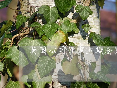 英国公司年审逾期会怎样