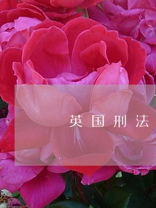 英国刑法制度变化 英国刑法制度变化